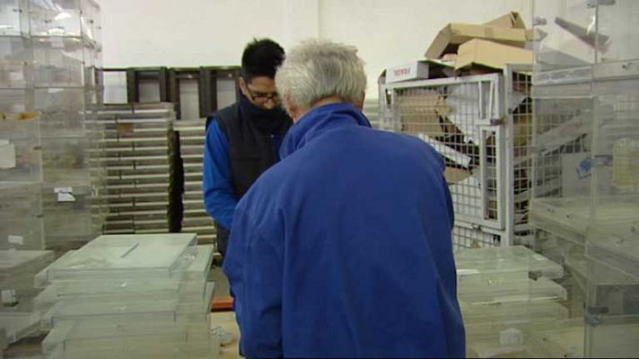 Telediario 1 - Telediario 1 en 4' - 08/11/12