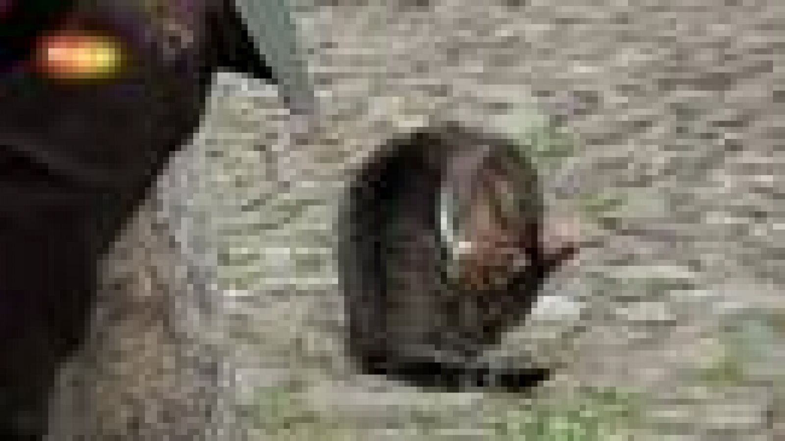 En Portada - Así se hizo "Quijotes contra gigantes nucleares" | Ver