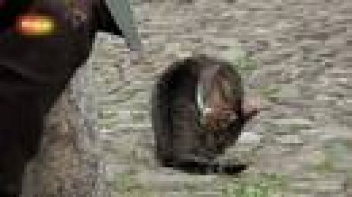 En portada - Así se hizo "Quijotes contra..."