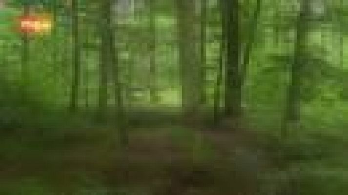 En portada - Quijotes contra molinos nucleares