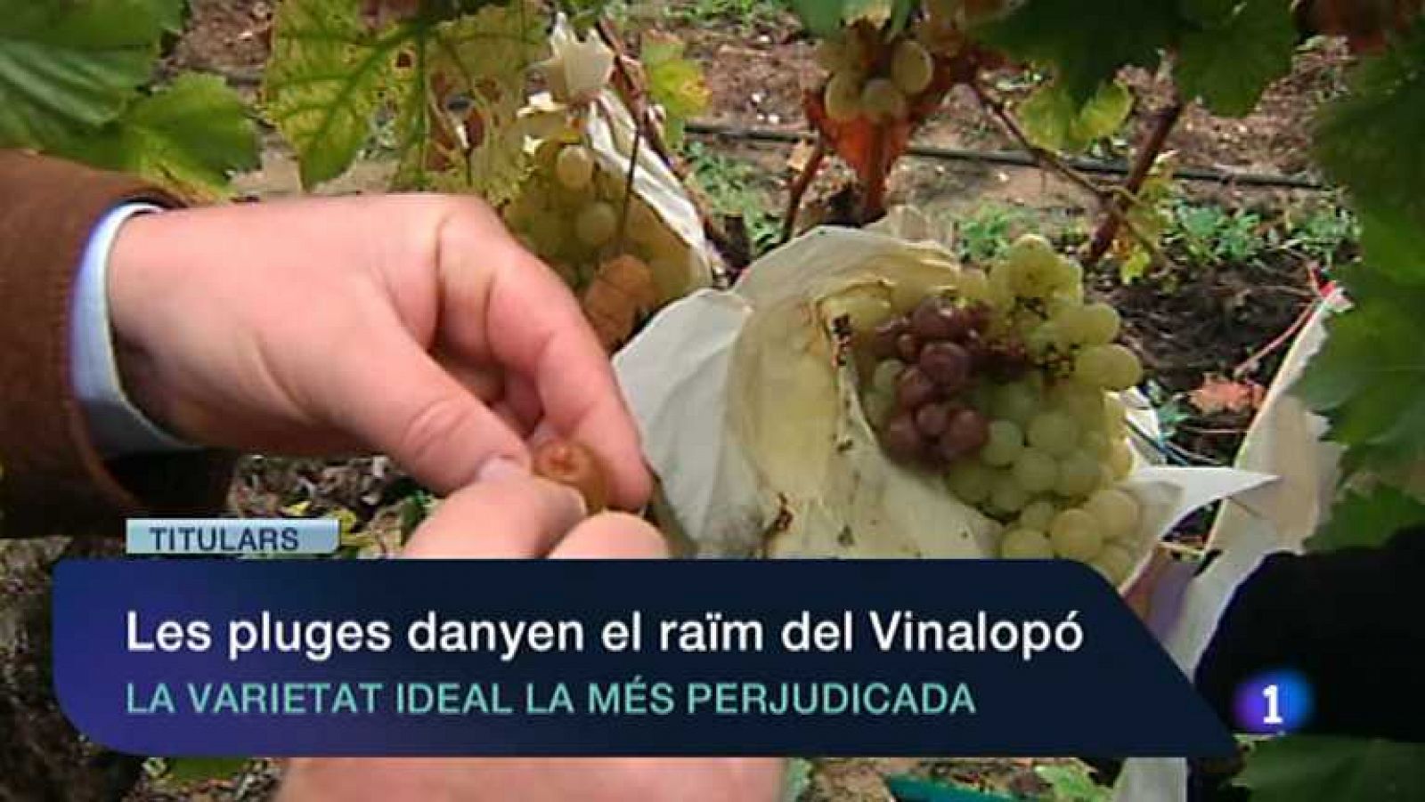 La Comunidad Valenciana en 2' - 09/11/12 - ver ahora