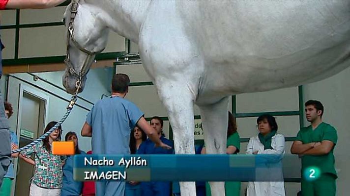 España en comunidad - España en comunidad - 10/11/12