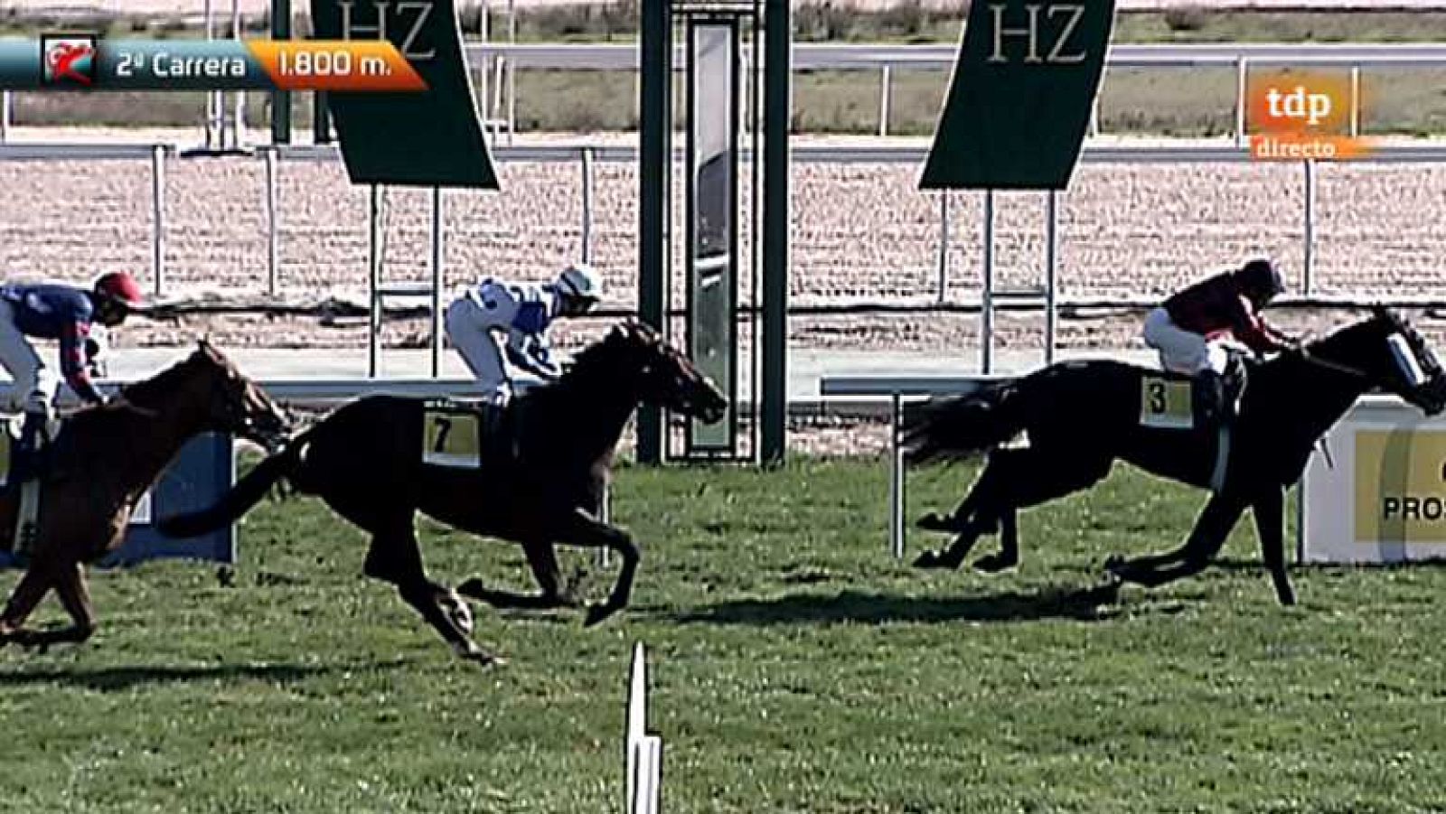 Turf - 11/11/12 - Ver ahora