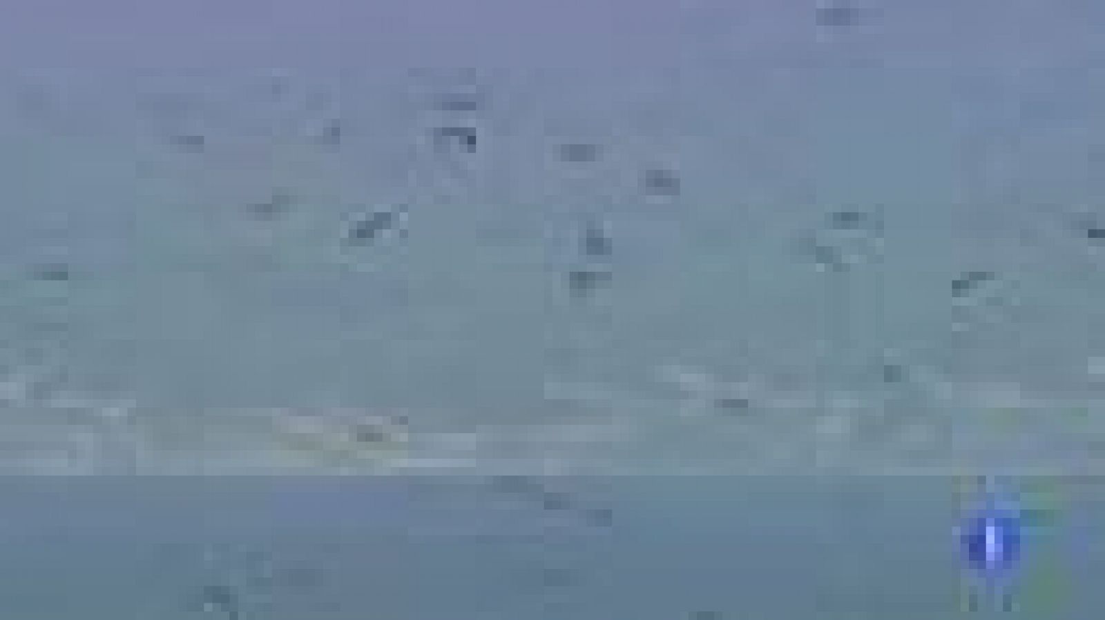 El cambio climático reduce la migración de las aves