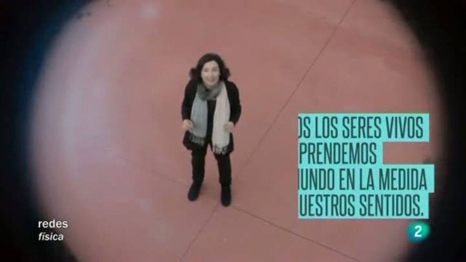 Redes - La mirada de Elsa -  Comprender el universo que nos rodea