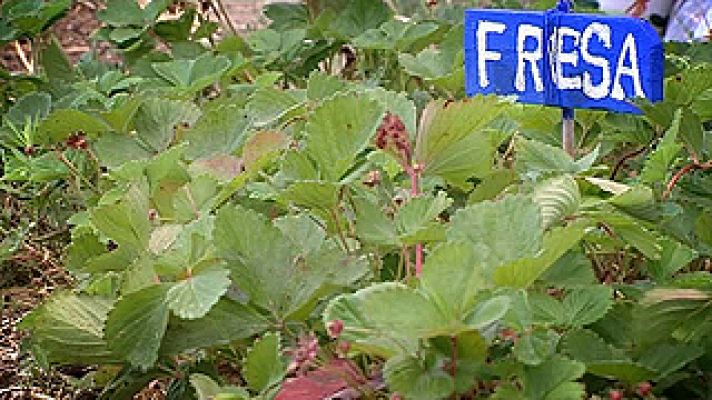 Universo UNED - De Madrid al suelo.