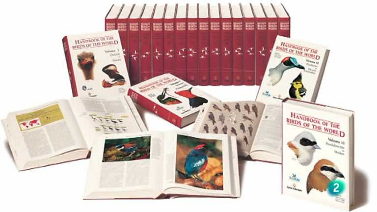 La aventura del saber - 12/11/12 - ver ahora