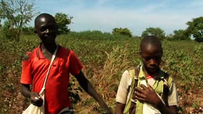 La noche temática - Soy niño y trabajo - Avance