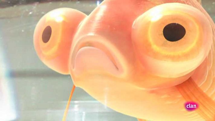 Biodiario - Biodiario - 12/11/12