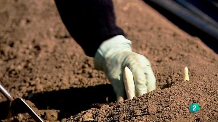 Biodiario - Biodiario - 13/11/12