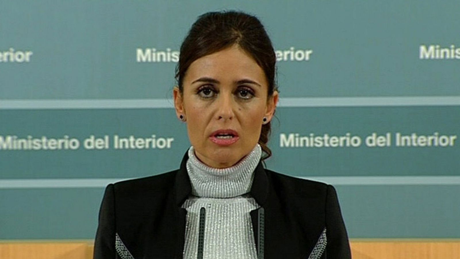 El Gobierno destaca la ausencia de incidentes graves el 14-N