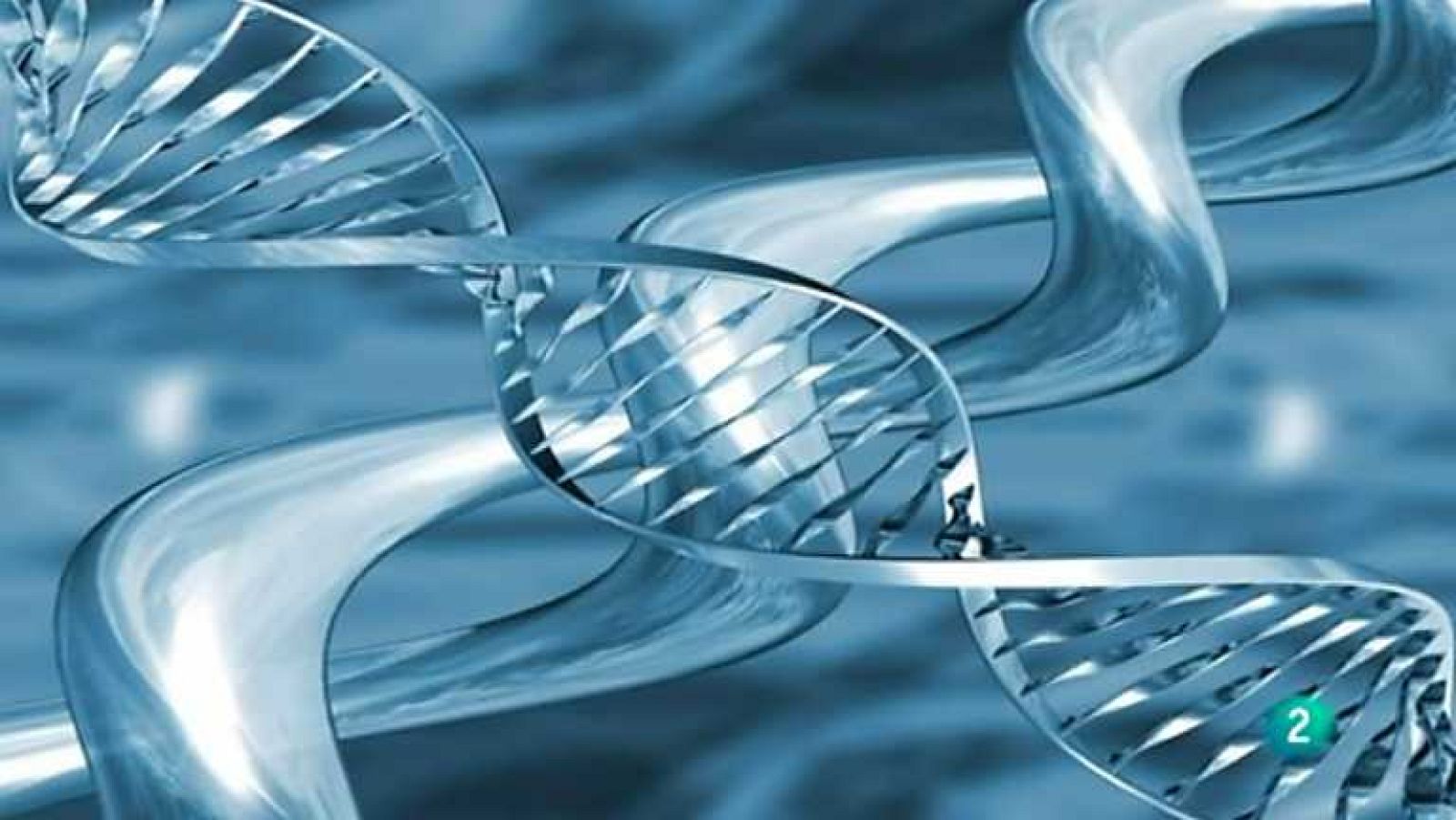 La aventura del saber - 14/11/12 - Ver ahora