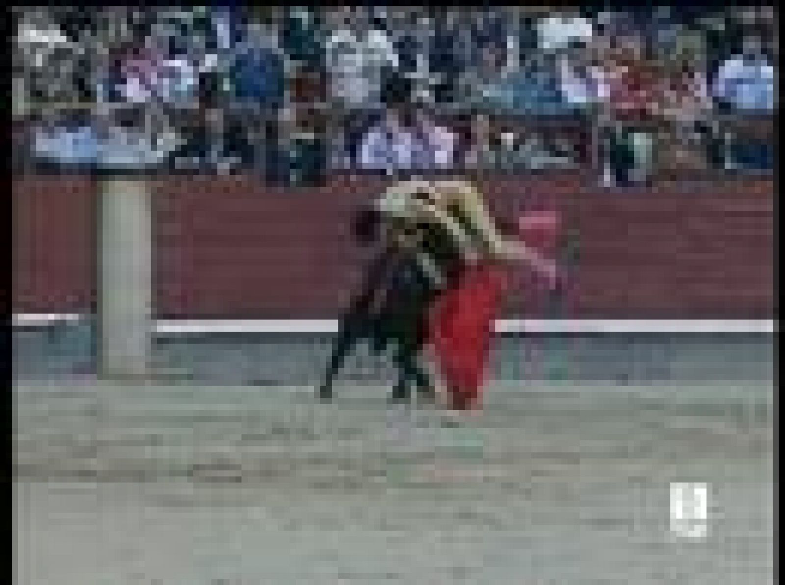 José Tomás se recupera de forma satisfactoria | Ver