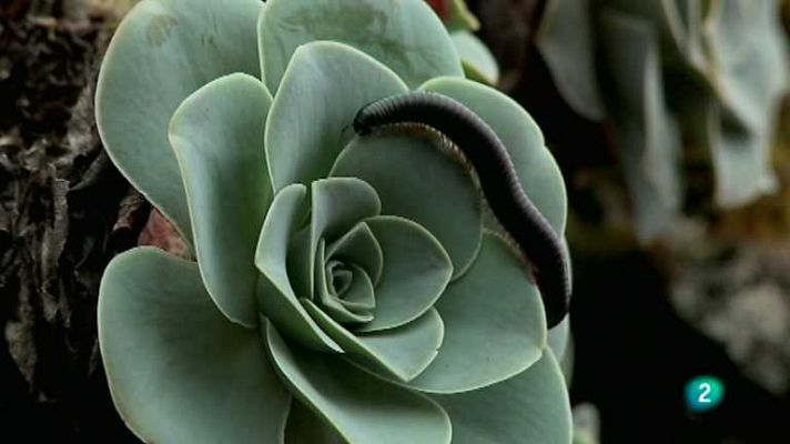 Biodiario - Biodiario - 15/11/12