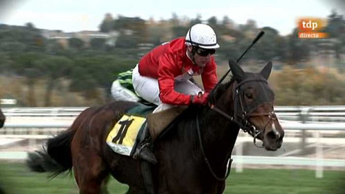 Turf - Turf - 18/11/12