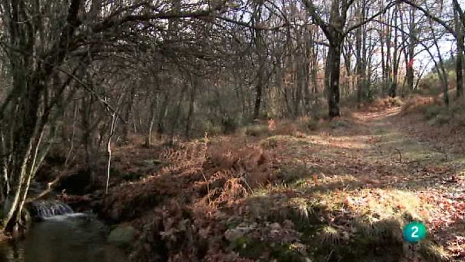 Biodiario - 19/11/12 - ver ahora