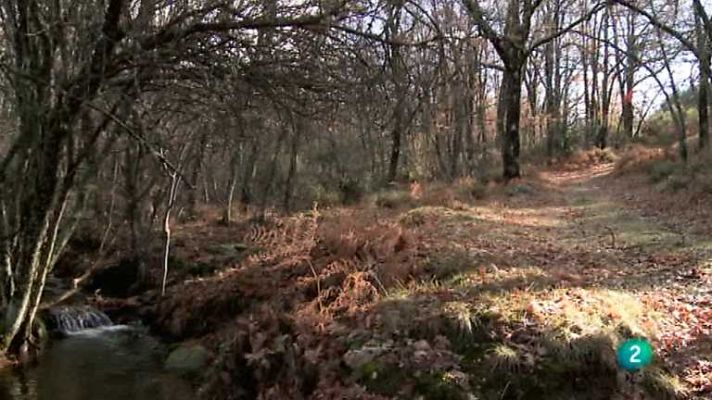 Biodiario - Biodiario - 19/11/12