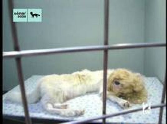  - Llega el Sónar 2008