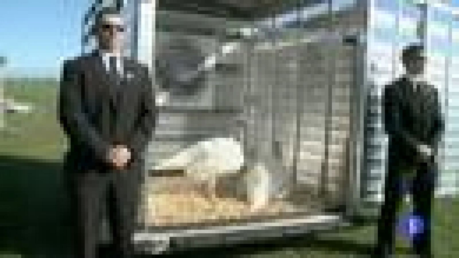 En la víspera del día de Acción de Gracias, algunas empresas van a adelantar las grandes rebajas  en EEUU