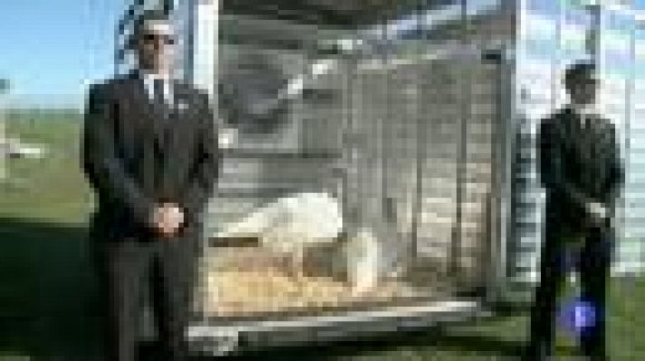 Telediario 1 - Adelanto de rebajas en EEUU