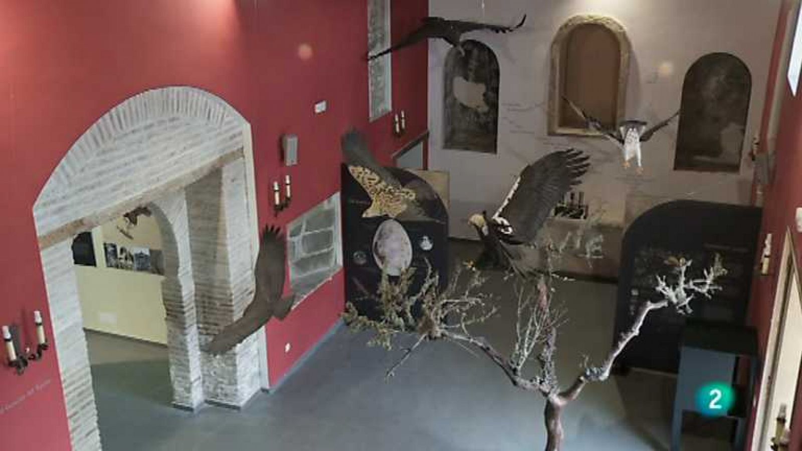 Biodiario - 21/11/12 - ver ahora