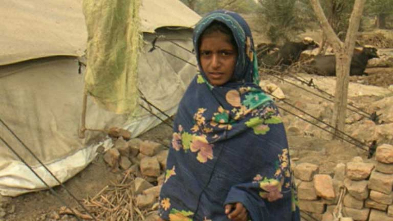 Código de conducta contra el turismo sexual  y el abuso a menores