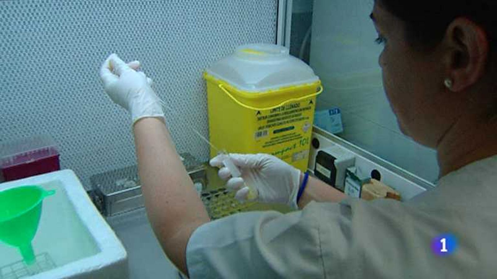 L'Informatiu - Comunitat Valenciana - 22/11/12 - Ver ahora