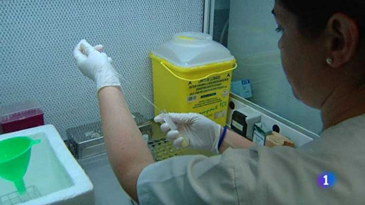 L'informatiu - Comunitat Valenciana - L'Informatiu - Comunitat Valenciana - 22/11/12