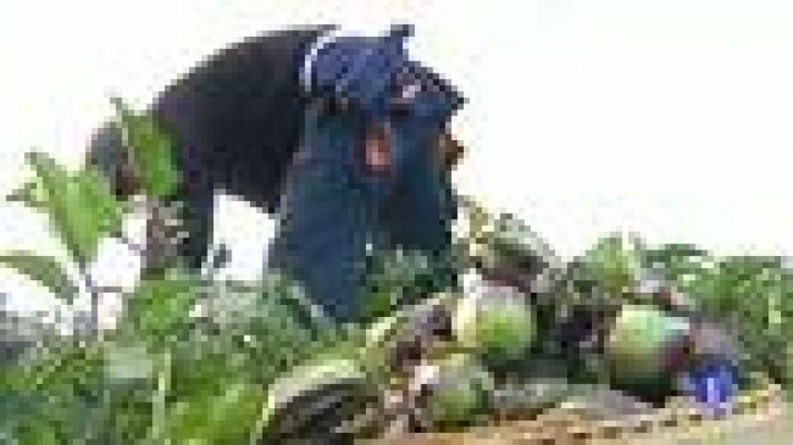 Telediario 1 - Rajoy rechaza los presupuestos EU