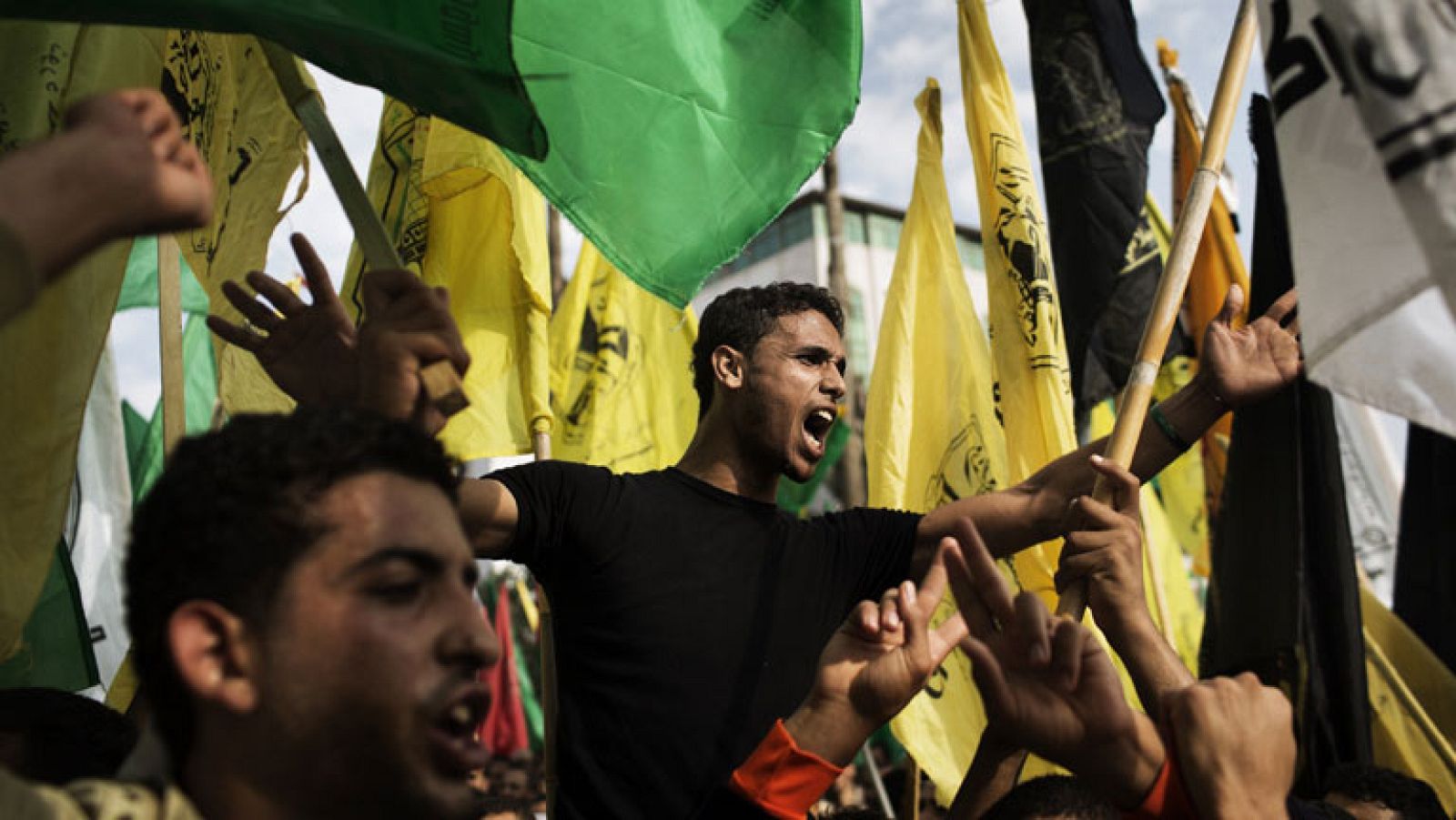 Los gazatíes celebran el alto el fuego 