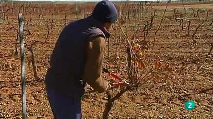 Agrosfera - Agrosfera - 24/11/12