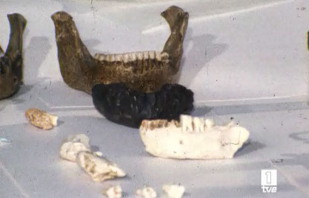 ¿Te acuerdas? - Historia de Atapuerca