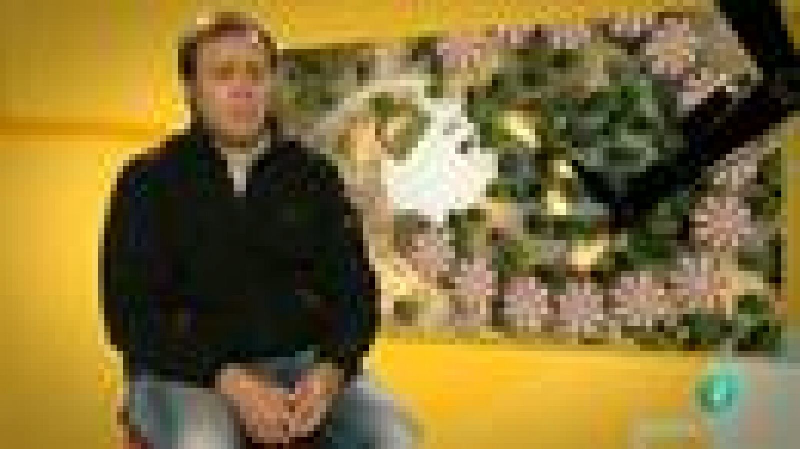 Fábrica de ideas-Inventa: Castellfire | Ver