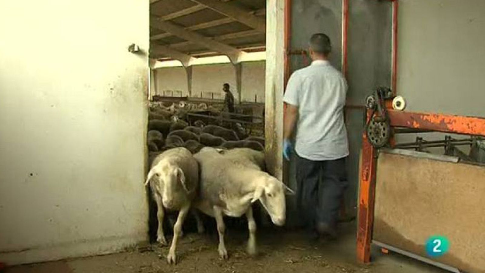 Agrosfera - Primer plano - Quesero zamorano