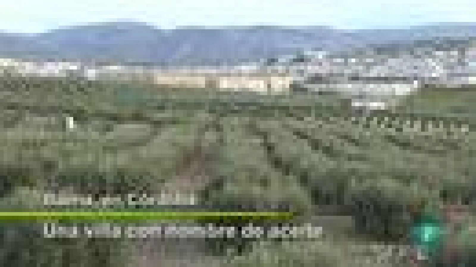 Agrosfera: Oleturismo en Baena | RTVE Play