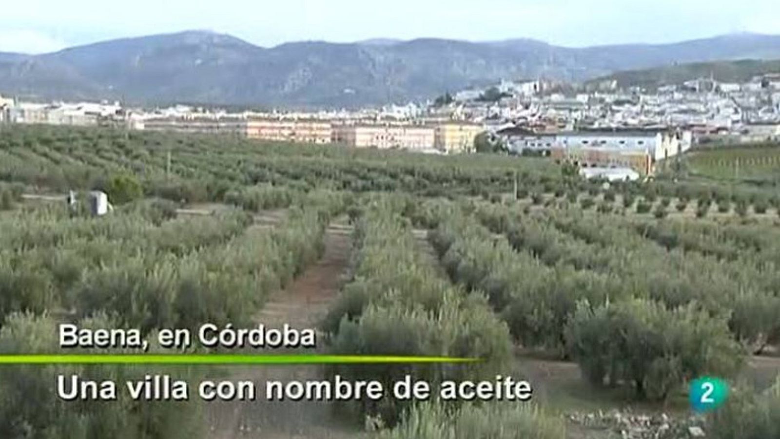 Agrosfera - En clave rural - Oleturismo en Baena