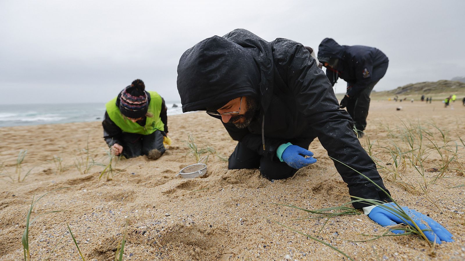 Telediario 1 en cuatro minutos - 13/01/24 - RTVE.es | Ver