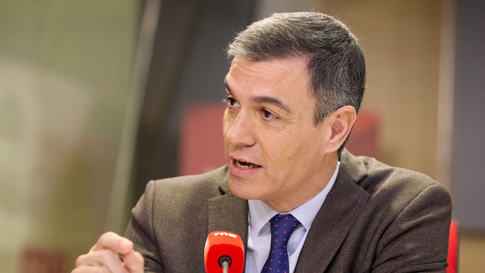 Sánchez enmarca en la "normalidad" su "minoría" en el Congreso: "Sudaré la camiseta para dar estabilidad" | Ver