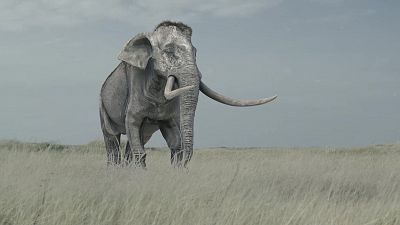 Somos documentales - El regalo de los glaciares. Como las edades de hielo - ver ahora