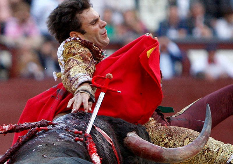  José Tomás evoluciona bien de las cornadas