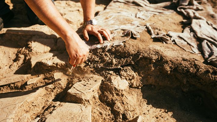 Una zanja de riego provoca daño irreparable en una zona arqueológica