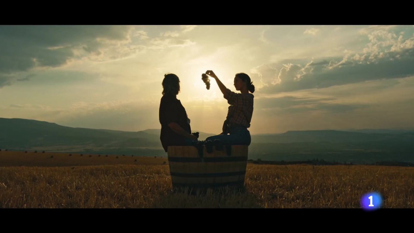 Informativo Telerioja  - 17-01-2024 - Informativo Telerioja | Ver