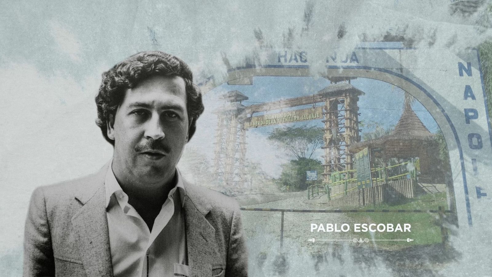 Hipopótamos invasores de Pablo Escobar - El Condensador de Fluzo