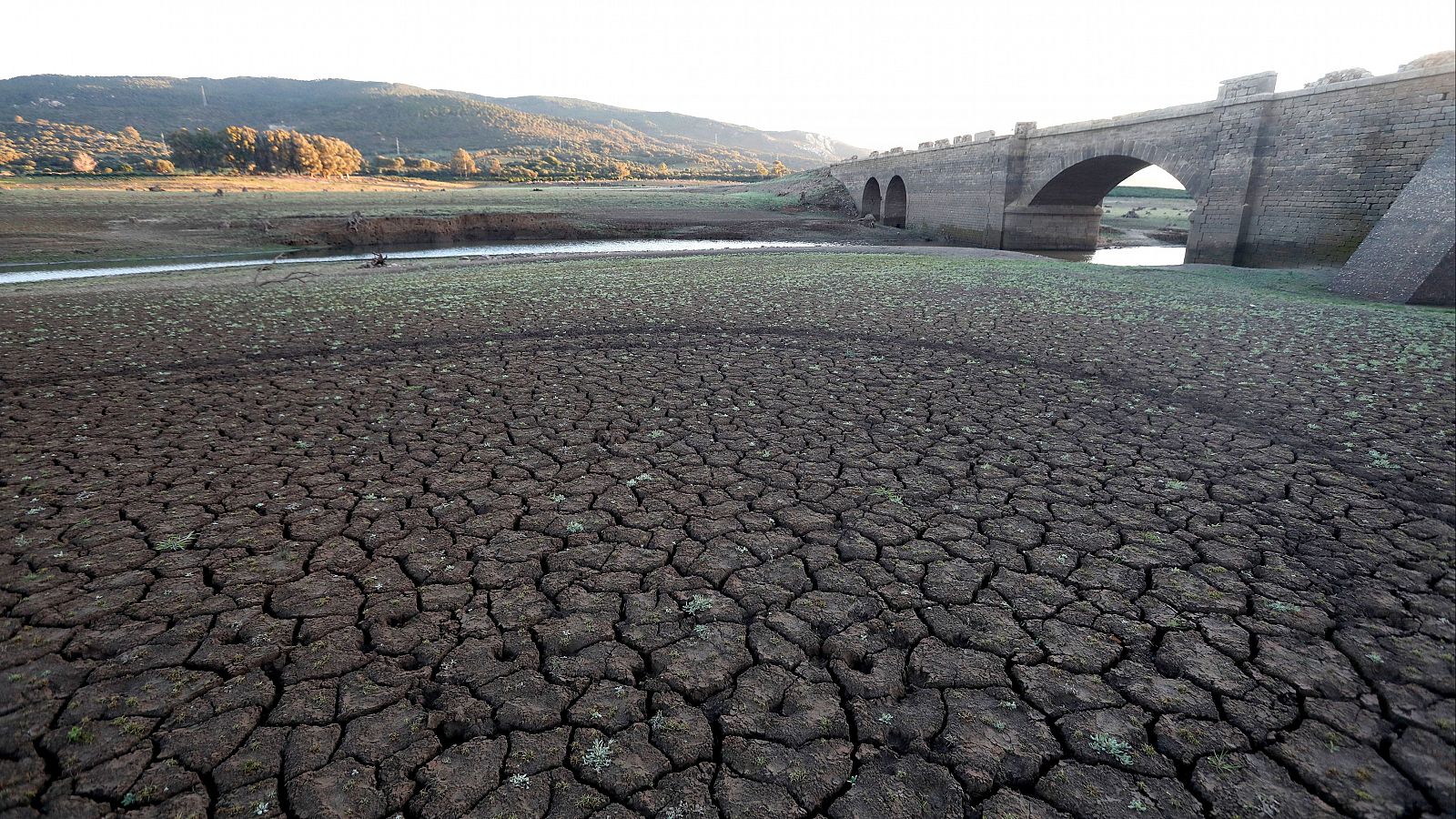 Andalucía prevé imponer restricciones al agua en las grandes ciudades