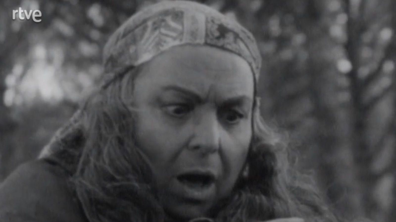 La familia de Alvareda - Capítulo 11 - La familia de Alvareda | Ver