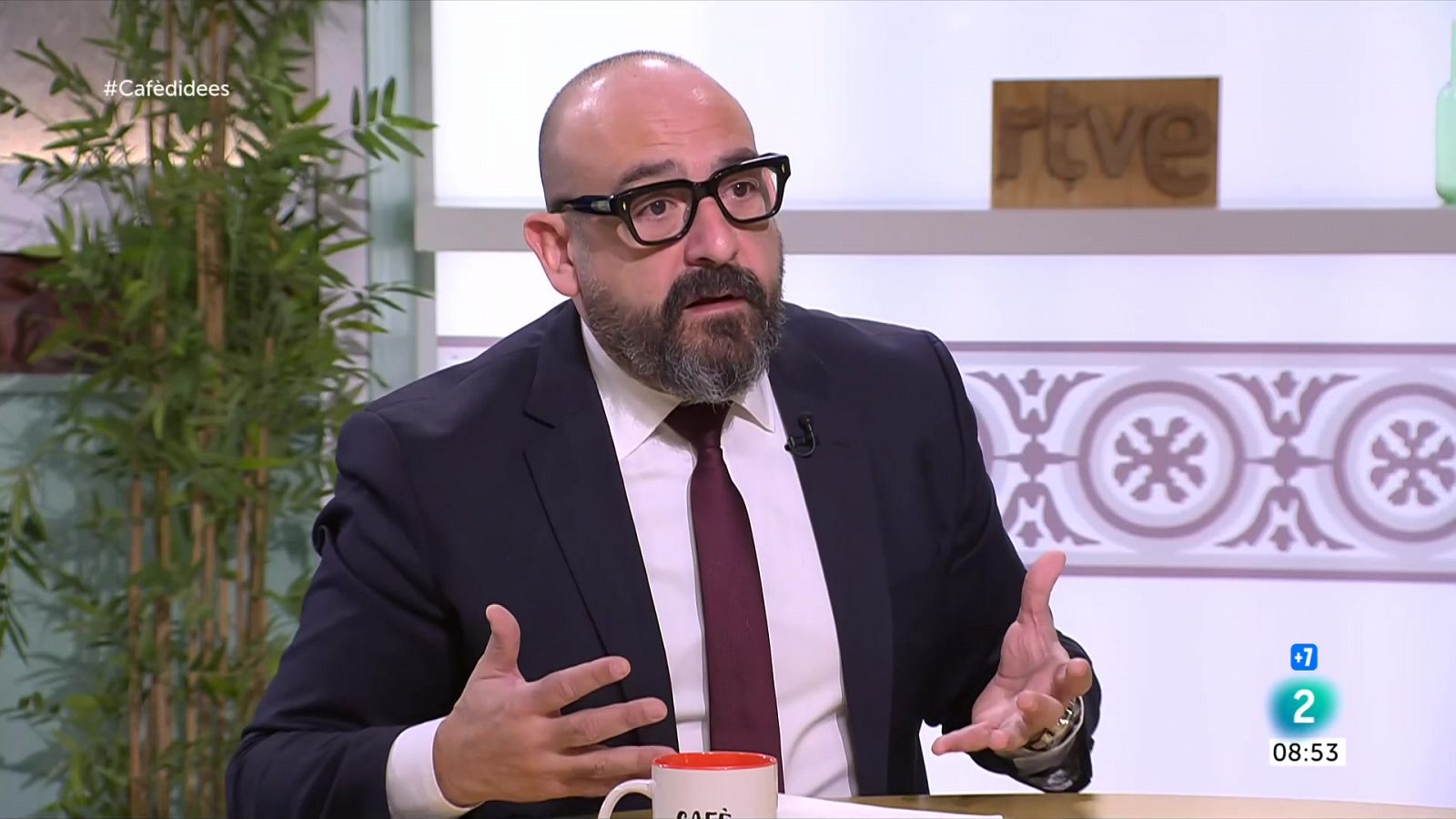 Jordi Cañas: "L'estelada és com una capa d'invisibilitat"