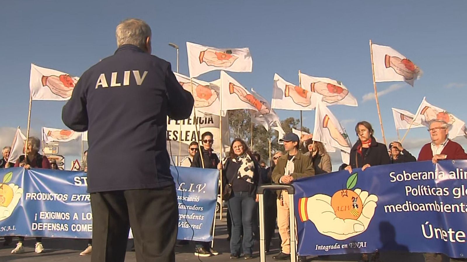 Agricultors valencians protesten contra la importació de taronja procedent d'Egipte | Ver