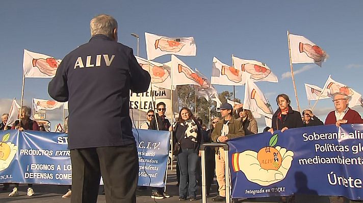 Agricultors valencians protesten contra la importació de taronja procedent d'Egipte