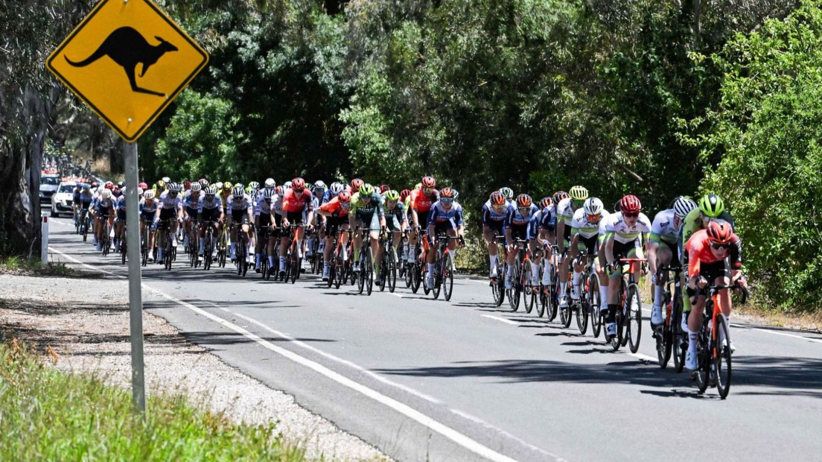 Ciclismo - Información del mejor deporte en directo RTVE Play