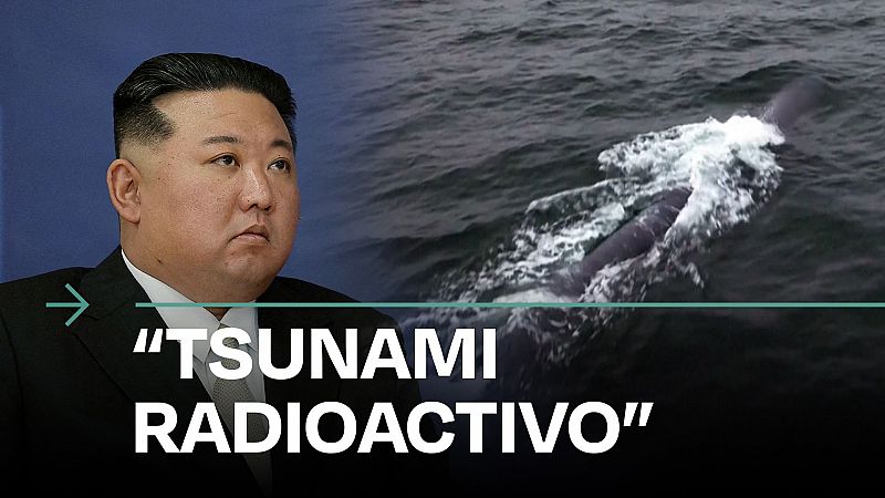 Corea del Norte asegura que su dron submarino nuclear ha superado una nueva prueba - Modo Digital | Ver